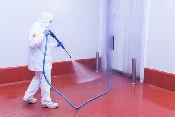 Best Roof Washing  in Somerville, NJ